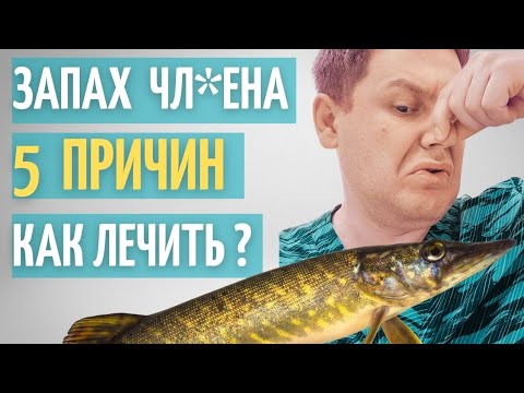 Видео: 5 причин запаха полового ч*Лена // Что делать