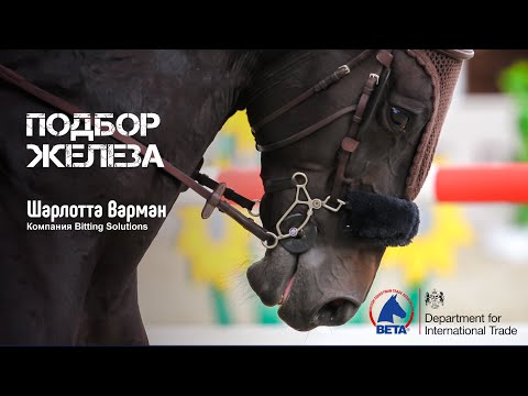 Видео: Вебинар "Подбор железа" Британской Ассоциации конной торговли
