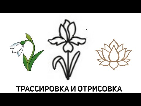 Видео: Стрим: Трассировка цветных и картинок с плохим качеством Corel Draw от Деревяшкина