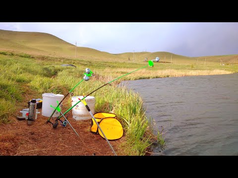 Видео: Хорошая рыбалка в мае 2024. Ловля на донки.