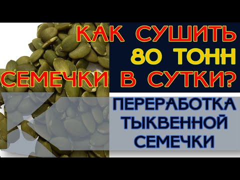 Видео: Сушим 80 тонн тыквенной семечки в сутки // Сушильные установки для семечки Каховского производства