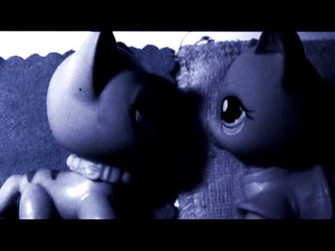 Видео: LPS Вместе Мы