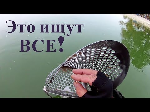 Видео: И снова золото с пляжа!Удачный коп с металлоискателем!
