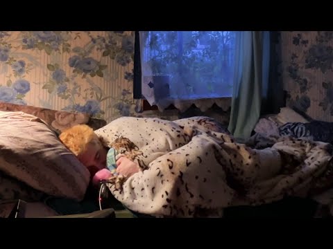 Видео: АСМР СПЛЮ