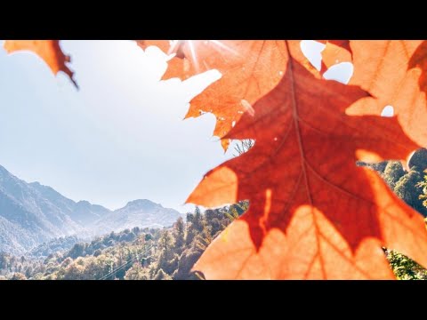 Видео: Море/  Поздравление от отеля Alean Family Resort & Spa Sputnik /Анимация часть 12
