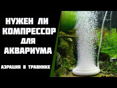 Видео: Нужен ли компрессор для аквариума. Какой компрессор выбрать.  Аэрация в травнике.