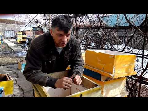 Видео: УЛЬЯ ИЗ ПОЛИСТИРОЛА ПЛЮСЫ И МИНУСЫ