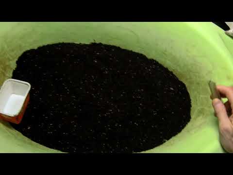 Видео: КАК Я ВЫБИРАЮ КОКОНЫ ДЕНДРОБЕНЫ И САМОДЕЛЬНОЕ СИТО