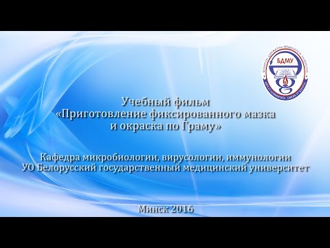 Видео: Приготовление фиксированного мазка и окраска по Граму