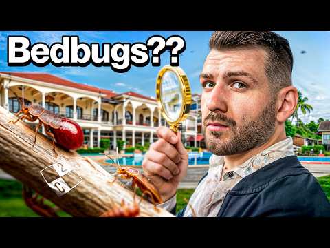Видео: Это история о постельных клопах