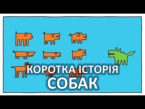 Видео: Коротка історія собак [TED-Ed]