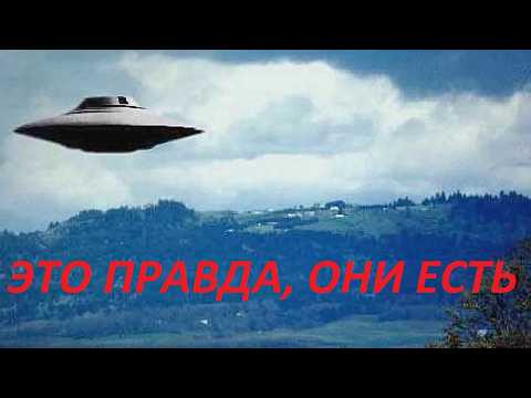 Видео: ВЕРИТЕ ИЛИ НЕТ, НО Я ЭТО ВИДЕЛ ОЧЕНЬ БЛИЗКО!