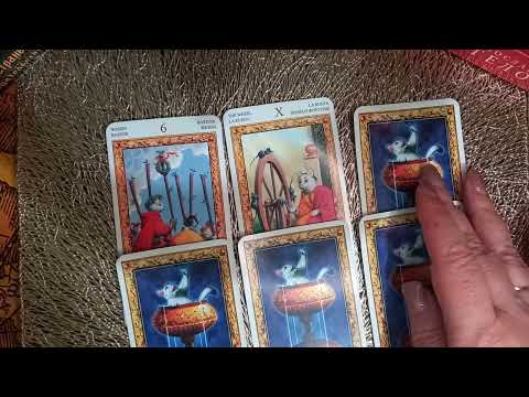 Видео: Как проявится портнер?