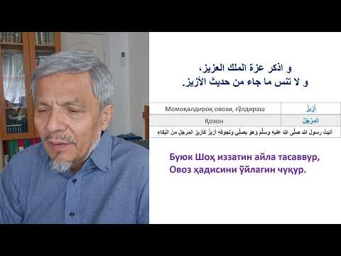 Видео: 29 мақола