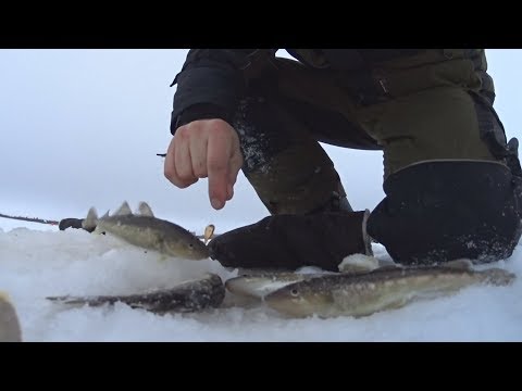 Видео: В Уну за навагой