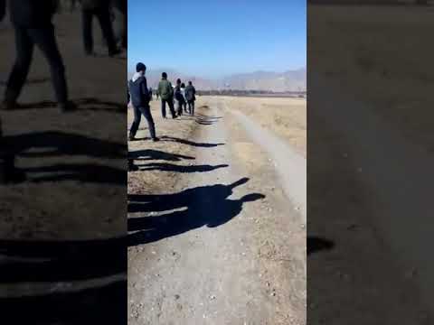 Видео: Болот аканин байгеси сырт