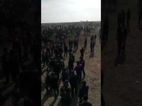 Видео: Баруын Оразгелді Нұрсұлтан палуан,Қайтуын Қаракөкірек Бақыт палуан