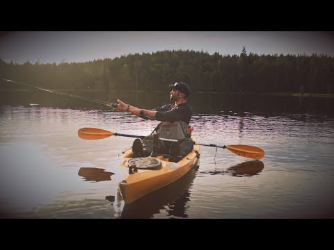 Видео: Что делать когда не клюёт? Рыбалка в жару на маленьком озере