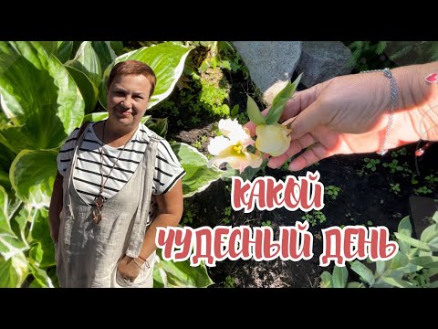 Видео: НАВОЖУ КРАСОТУ! КАРТОШКА С ГРИБАМИ!#wildberries #вайлдбериз #жизньвмаленькомгороде