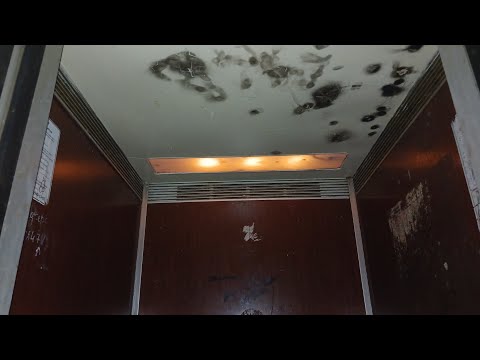 Видео: 🔴 Лифт МЛЗ 1987 г.в. Q=320 кг, V=0.71 м/с; (г. Волгодонск), ул. Гагарина 60, под. 1