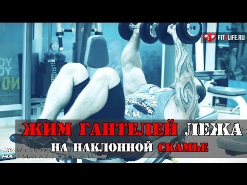 Видео: Это ЖИМ ГАНТЕЛЕЙ ЛЕЖА НА НАКЛОННОЙ СКАМЬЕ, детка!