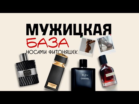 Видео: ФИТОНЯШКИ ОЦЕНИВАЮТ МУЖСКИЕ АРОМАТЫ | БАЗА МУЖСКОЙ ПАРФЮМЕРИИ