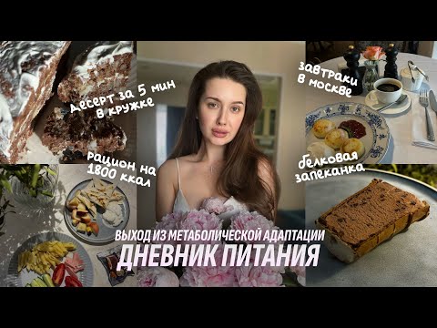 Видео: ДНЕВНИК ПИТАНИЯ | Рацион 1800 ккал. Десерт в кружке за 5 минут. Белковая запеканка