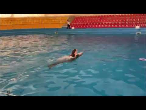 Видео: Выходной ВЛОГ! Плаваю с ДЕЛЬФИНАМИ!#mashkakudrashka #дельфины #влог