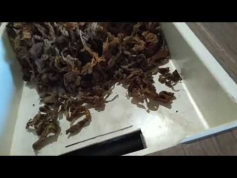 Видео: Привод на "полячку".