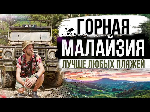 Видео: ПОТЕРЯЛИСЬ В ДЖУНГЛЯХ. ЧАЙНЫЕ ПЛАНТАЦИИ И ТРЕКИНГ В ГОРАХ МАЛАЙЗИИ. MALAYSIA. TANAH RATA.