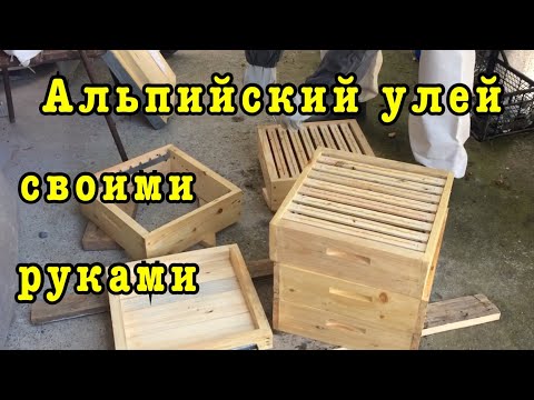 Видео: Изготовление альпийского улья / Поймали рой пчёл/ переселяем с ловушки в альпийский улей