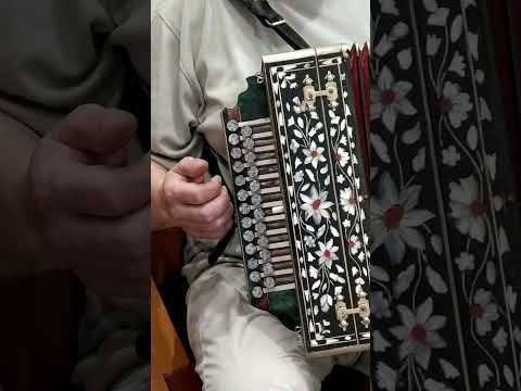 Видео: Разбор песни Пусть бегут неуклюже во второй тональности.