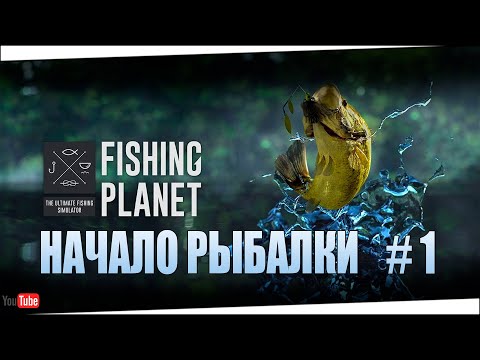Видео: FISHING PLANET Начало рыбалки #1. Прокачка с 1 по 80 уровень.