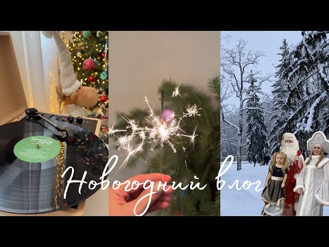 Видео: Новогодний влог 🌲 Встречаем Новый Год и Рождество ❄️