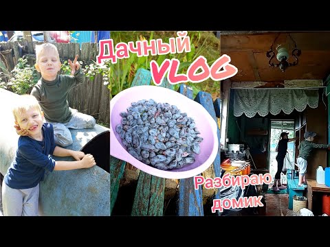 Видео: Дачный VLOG🏡Навела порядок в домике🤪Старая дача 🤗