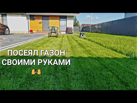 Видео: Выпуск№19.   Посеял газон - и вот что получилось 👌