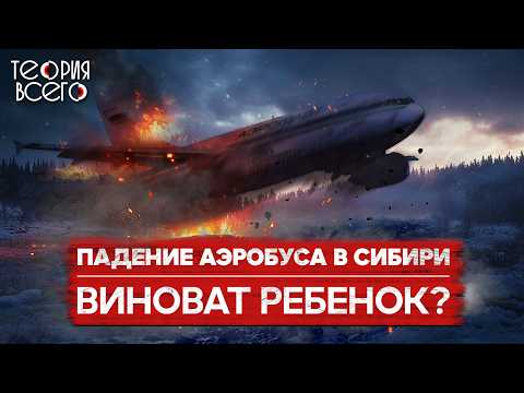 Видео: Авиакатастрофа под Междуреченском: ребенок за штурвалом / Реальные причины трагедии | Теория Всего