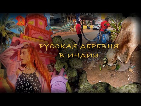 Видео: первый день в индии-морджим штат гоа 2024