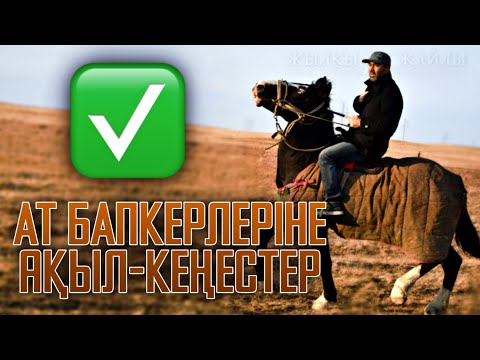 Видео: АТЫҢ БӘЙГЕДЕН БІРІНШІ КЕЛСІН ДЕСЕҢ ОСЫ АҚЫЛДЫ ТЫҢДА❗ - Жылқы Жайлы