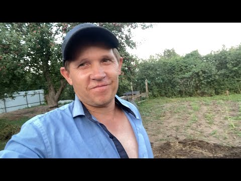 Видео: УДОБРИЛ ОГОРОД!! ЦЕМЕНТ НЕ КУПИЛ! ЖИЗНЬ В СЕЛЕ