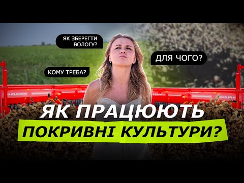 Видео: СІЄМО ПОКРИВКУ‼️ ЯК ЗБЕРЕГТИ ВОЛОГУ? ВІДНОВЛЮЄМО ГРУНТ ЧЕРЕЗ ПОКРИВНІ КУЛЬТУРИ