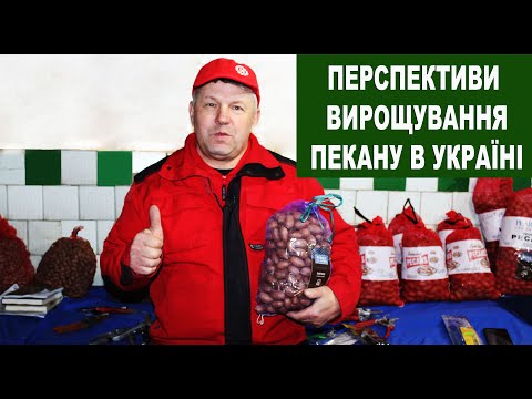 Видео: №120 Пекан: його особливості вирощування. Огляд сортів Pawnee та Schley