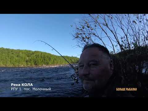 Видео: ЛОВИМ СЁМГУ на реке КОЛА.  Июнь РПУ 1 | Fishing for salmon on the Kola River