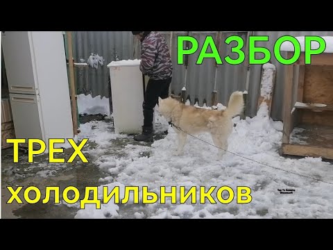 Видео: РАЗБОР ТРЕХ ХОЛОДИЛЬНИКОВ. ХОЛОДИЛЬНИК В МЕТАЛЛОЛОМ. ЦВЕТМЕТ ИЗ ХОЛОДИЛЬНИКА. ДОБЫВАЮ ЧЕРМЕТ.