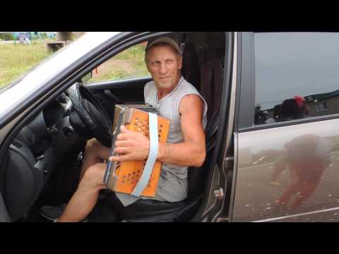 Видео: Чувашские мелодии на гармошке. Мариинский Посад. 2016