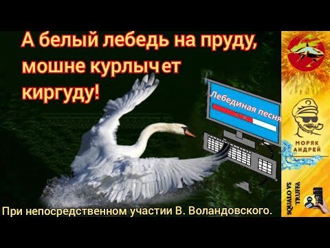 Видео: Телефонное мошенничество . Автор - моряк Андрей.
