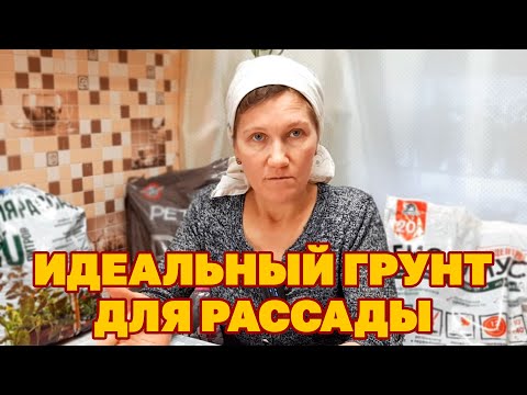 Видео: ИДЕАЛЬНЫЙ ГРУНТ ПРИЯТНО САЖАТЬ РАССАДУ СПОСОБ ВЫБОРА ГРУНТА ДЛЯ КРЕПКОЙ РАССАДЫ @obovsemsmarusya