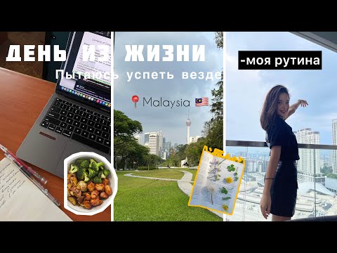 Видео: Один день из жизни студента заграницей// Малайзия🇲🇾, Asia Pacific University 🎓📚