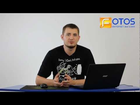 Видео: Все что вы хотели спросить об игровых грызунах.