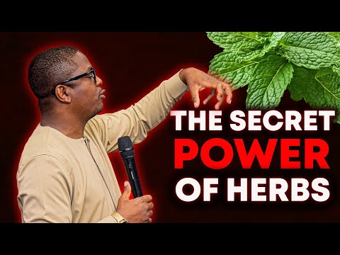 Видео: Шокирующая правда об использовании трав верующими | Апостол Чивенга
